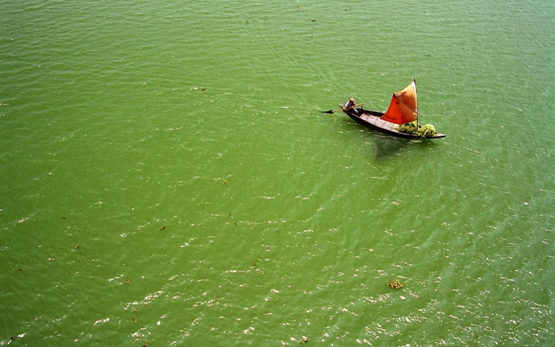 WORKSHOP: Understanding climate change and migration